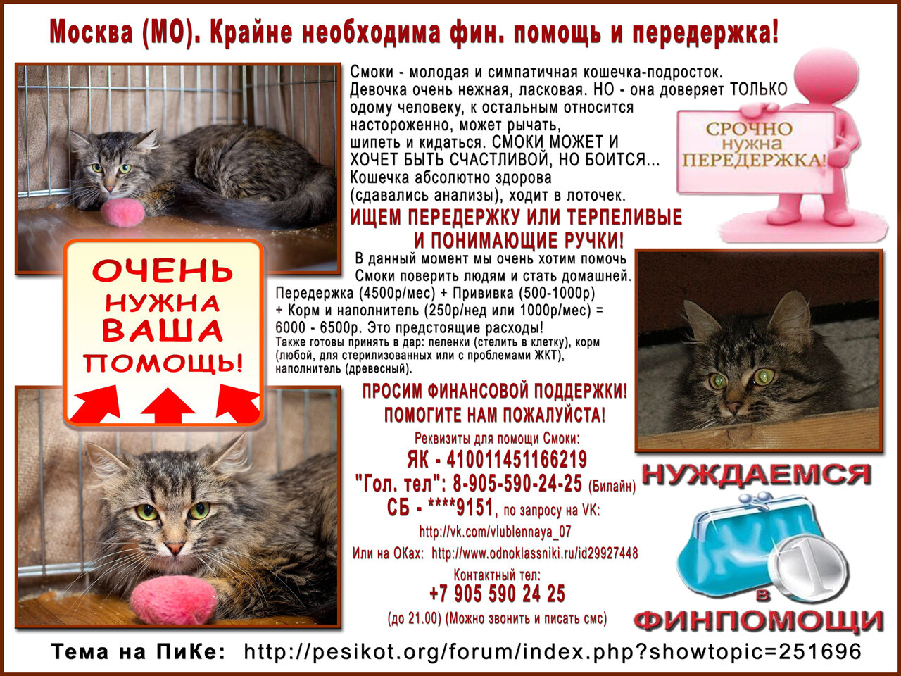 Договор передержки животного образец