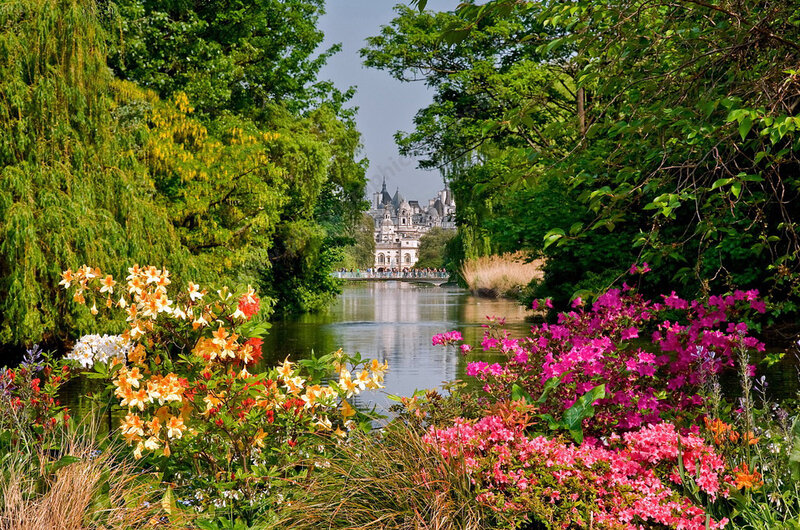 Сад букингемского дворца